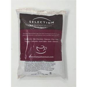 Sélection fraise enrobée chocolat